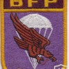 Mexico Parachute Rifle Brigade arm patch
