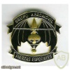 Mexico High Command Special Forces Airmobile Group cap badge, type 1 img20711