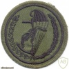 POLAND 8th Reconnaissance Battalion parachutist patch, subdued
