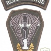 POLAND 1st Special Commando Regiment parachutist patch w/ Reconnaissance tab, subdued