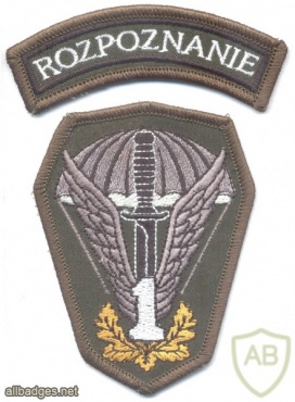 POLAND 1st Special Commando Regiment parachutist patch w/ Reconnaissance tab, subdued img20734