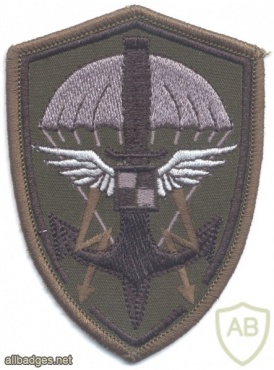 POLAND Reconnaissance Forces parachutist patch, subdued img20736