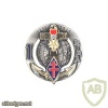 FRANCE 1st Marine Infantry Regiment pocket badge img20772