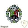 French Foreign Legion 1st Cavalry Regiment breast badge