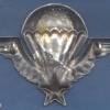 CENTRAL AFRICAN EMPIRE Parachutist Wings img20771