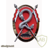 FRANCE 4th Dragoon Regiment, 2nd Squadron pocket badge