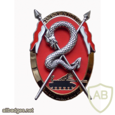 FRANCE 4th Dragoon Regiment, 2nd Squadron pocket badge img20801