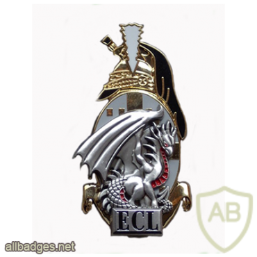 FRANCE 4th Dragoon Regiment, Logistics and Command Squadron pocket badge img20800