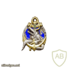 FRANCE 1st Marine Infantry Regiment, 3rd Squadron pocket badge