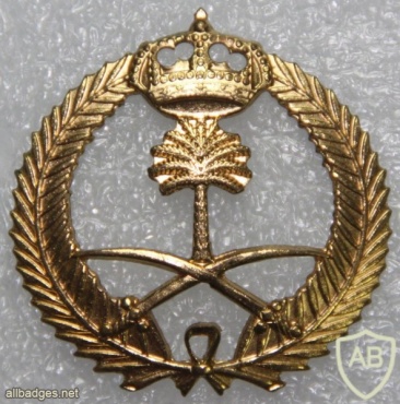 Saudi Arabia Army cap badge img20857