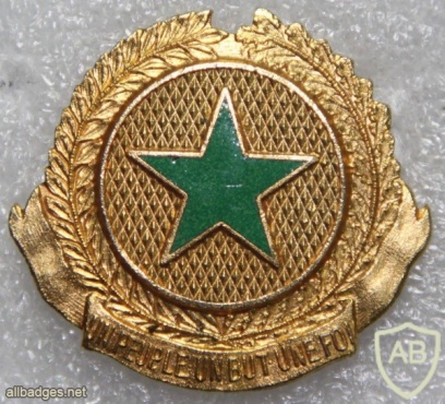 Senegal Army cap badge img20858