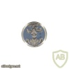 Hussars collar badge img20833