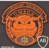Omega Special Task Force unit patch img20849