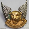 Transkei Special Forces cap badge