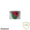 FRANCE 18th Armour Regiment pocket badge img20838