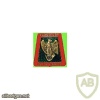 FRANCE 13th Armour Regiment pocket badge