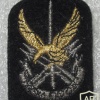 Sri Lanka Special Forces Regiment beret badge