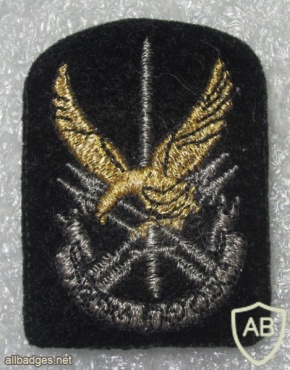Sri Lanka Special Forces Regiment beret badge img20882