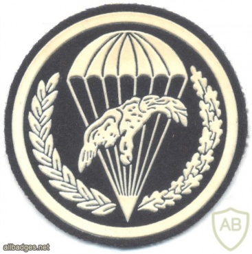 POLAND 5th Mixed Artillery (Airborne) Battalion parachutist patch img20869
