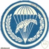 POLAND 6th Air Assault Battalion parachutist patch img20866