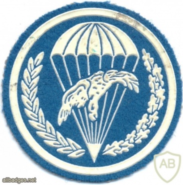 POLAND 6th Air Assault Battalion parachutist patch img20866