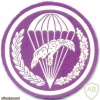 POLAND 8th Support (Airborne) Battalion parachutist patch img20868