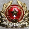 Vietnam Armed Forces cap badge