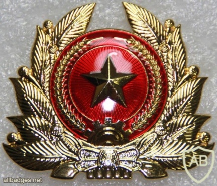 Vietnam Armed Forces cap badge img20876