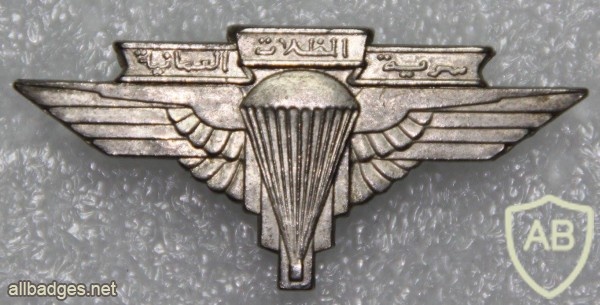 Oman Airborne Regiment cap badge img20881