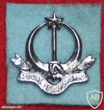 Pakistan Army Special Service Group (SSG) cap badge img20879