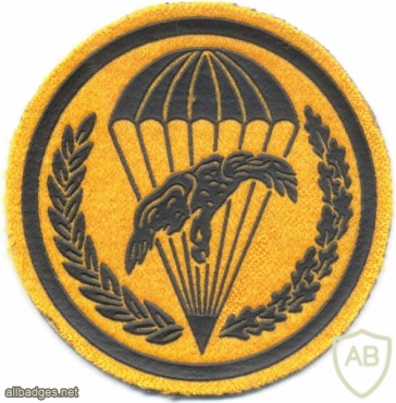 POLAND 26th Anti-Aircraft Artillery Battalion parachutist patch img20865