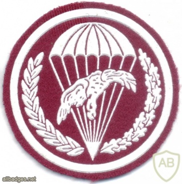 Polish Army HQ 6th Airborne Division, paratrooper arm patch, maroon img20871