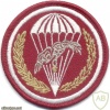 POLAND 6th Air Assault Brigade parachutist patch, embroidered
