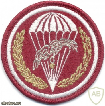 POLAND 6th Air Assault Brigade parachutist patch, embroidered img20867