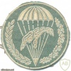 POLAND 10th Air Assault Battalion parachutist patch img20870