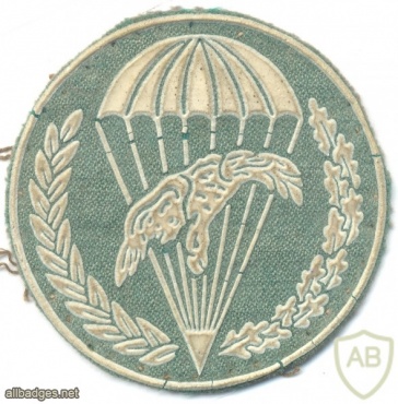 POLAND 10th Air Assault Battalion parachutist patch img20870