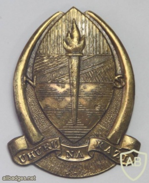 Tanzania Army cap badge, obsolete img20896