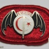 Tunisia National Guard Special Units cap badge