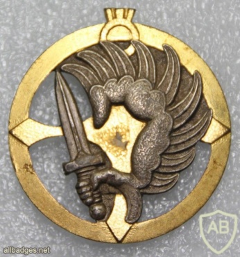 Niger Parachute Company beret badge img20892