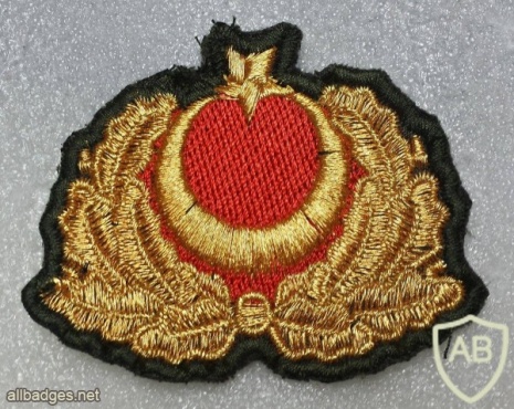 Turkey Army cap badge, full colored img20972