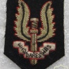 NZSAS (New Zealand Special Air Service) beret badge