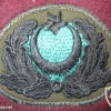 Turkey Army cap badge img20971