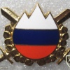 Slovenia Army cap badge