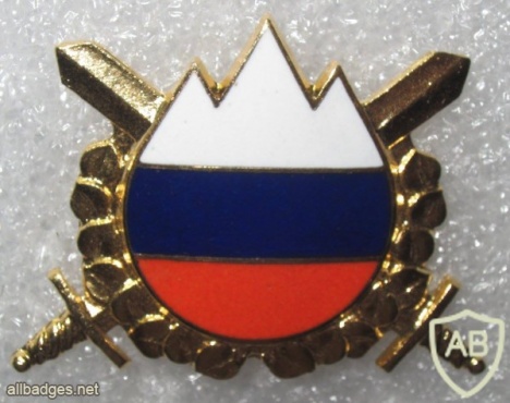 Slovenia Army cap badge img20964