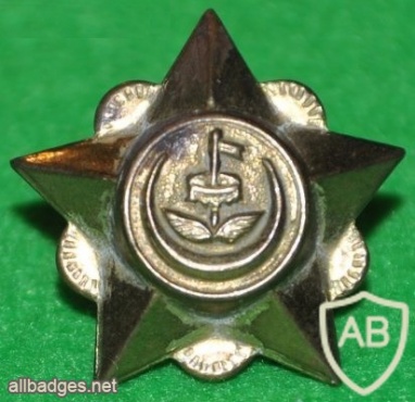 Brunei Armed Forces rank star badge img20987