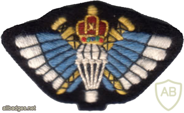 Oman´s Special Forces Parachute badge img20989