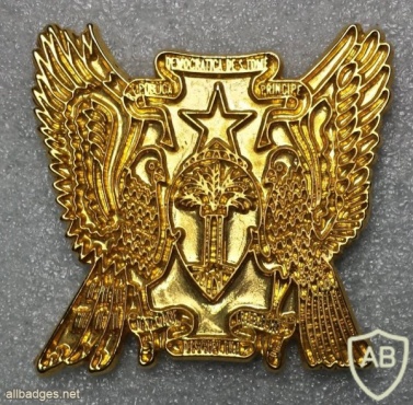 Sao Tome & Principe Army cap badge img21018