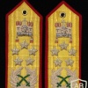 Field Marshal (OF-10) Royal Brunei Army