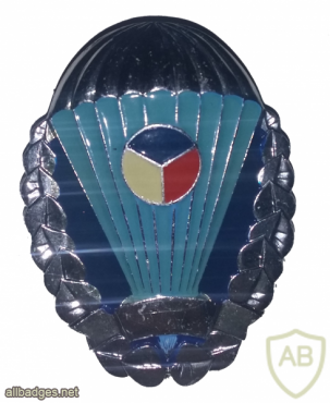 CZECH REPUBLIC Parachute badge, Class IV img20990