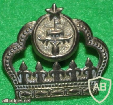 Brunei Armed Forces rank crown badge img20988